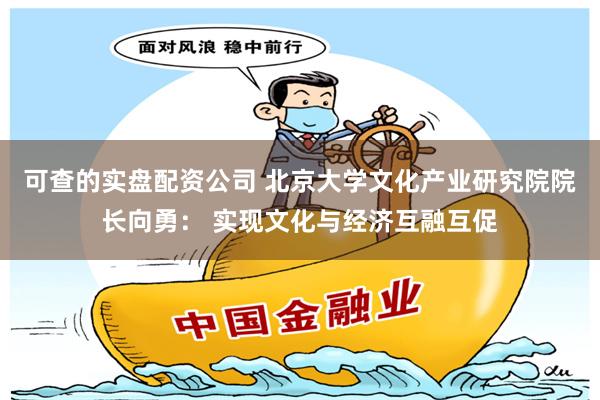 可查的实盘配资公司 北京大学文化产业研究院院长向勇： 实现文化与经济互融互促