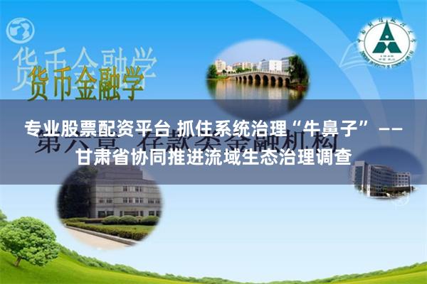 专业股票配资平台 抓住系统治理“牛鼻子” ——甘肃省协同推进流域生态治理调查