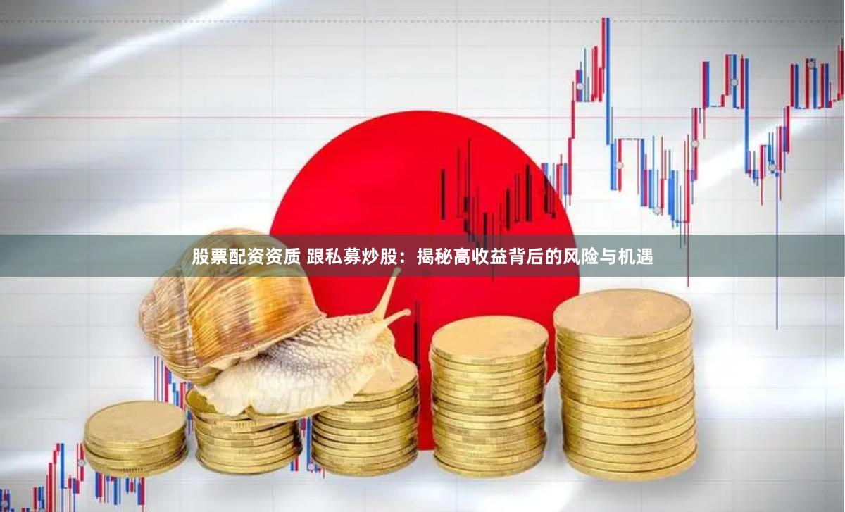 股票配资资质 跟私募炒股：揭秘高收益背后的风险与机遇