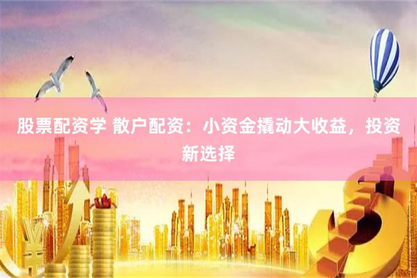 股票配资学 散户配资：小资金撬动大收益，投资新选择
