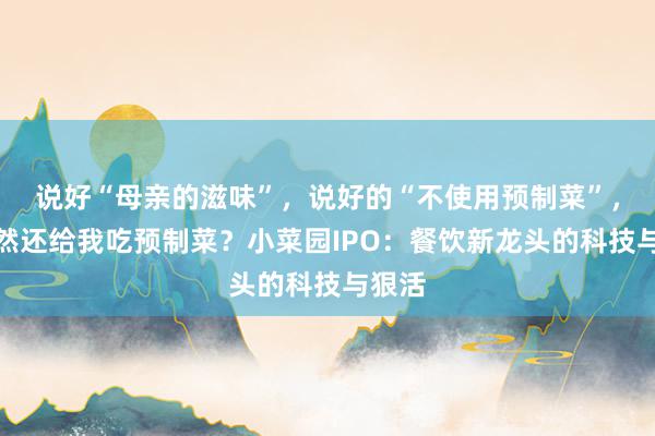 说好“母亲的滋味”，说好的“不使用预制菜”，你尽然还给我吃预制菜？小菜园IPO：餐饮新龙头的科技与狠活