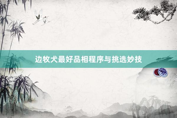 边牧犬最好品相程序与挑选妙技
