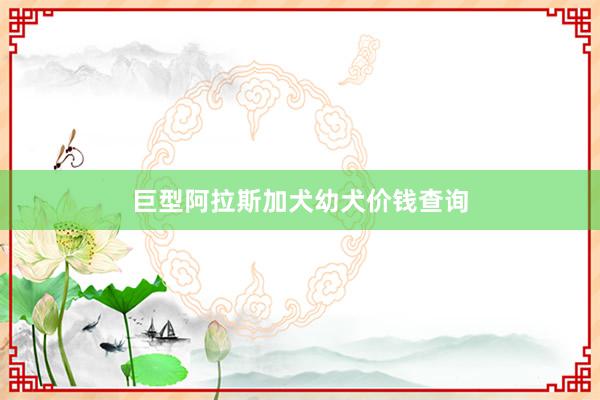 巨型阿拉斯加犬幼犬价钱查询