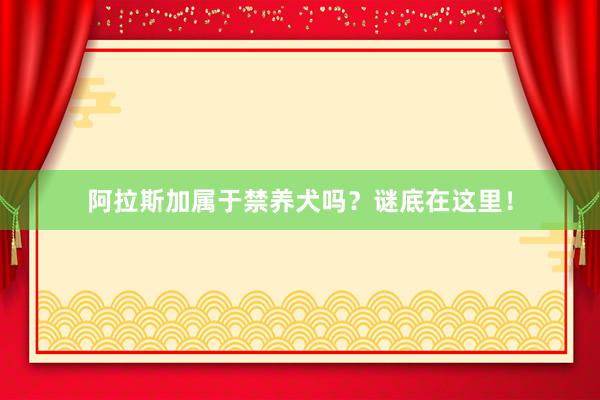 阿拉斯加属于禁养犬吗？谜底在这里！